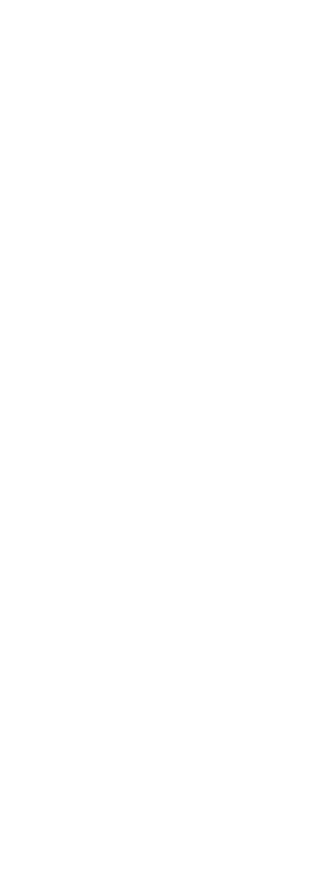 昼の部
